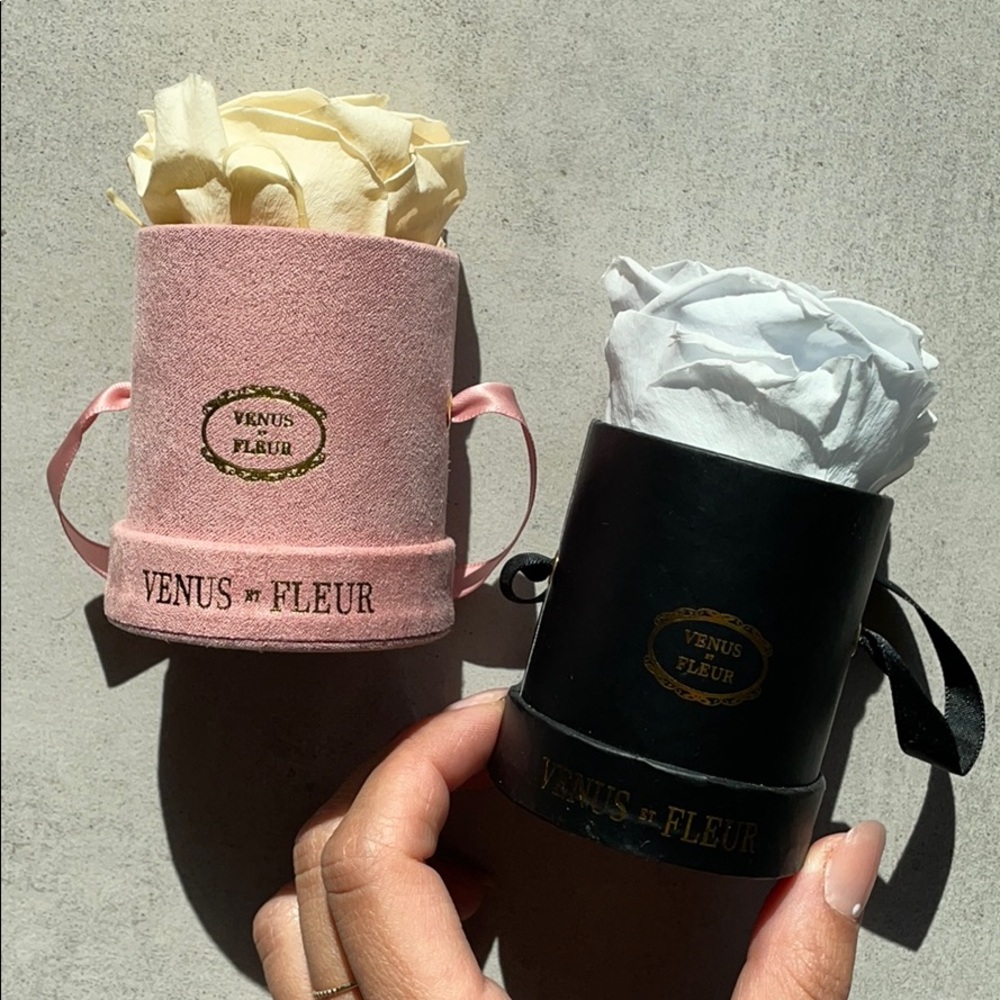 Venus dt Fleur single roses